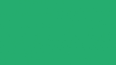 11 15446 - зелена